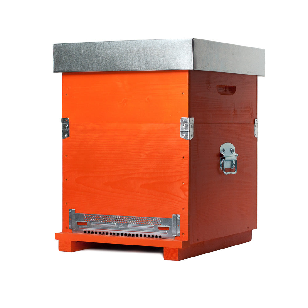 Arnia Cubic da 10 Favi
