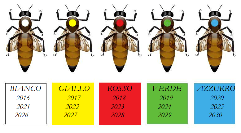 Flacone marcaregina